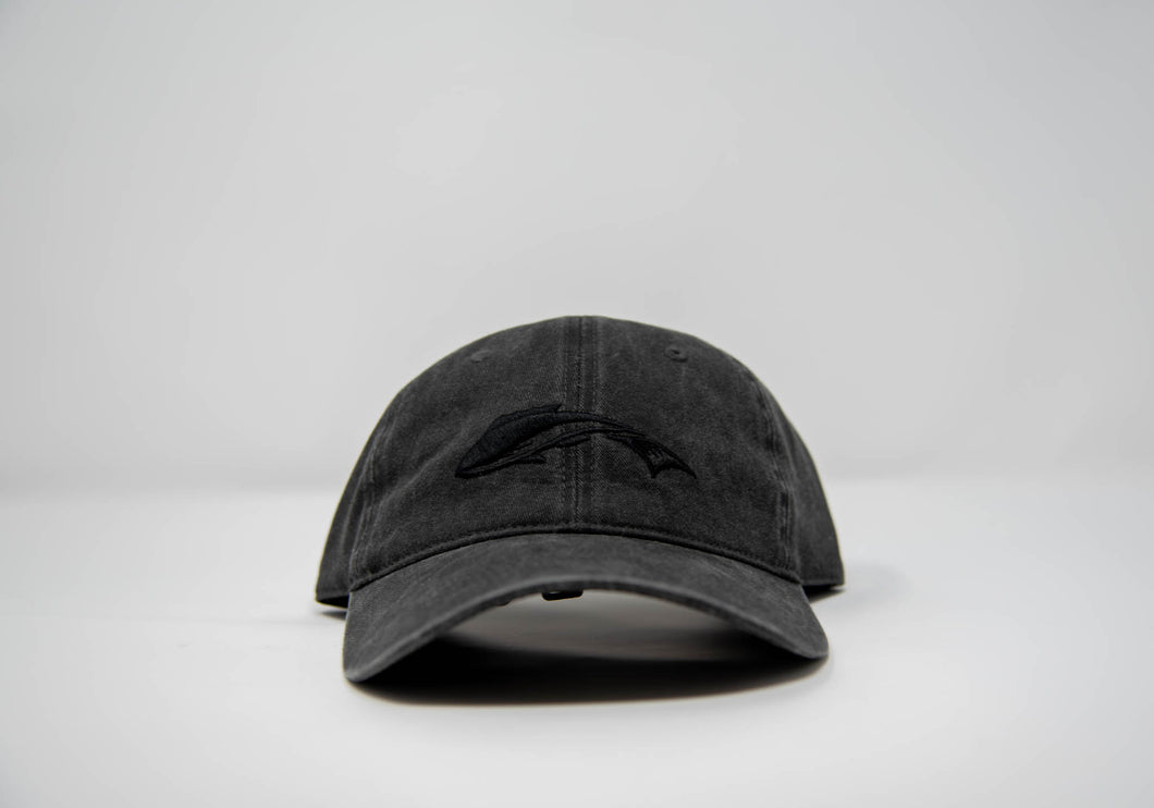 Brims Logo Dad Hat