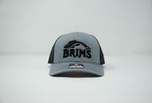 Load image into Gallery viewer, Brims Logo Trucker Hat
