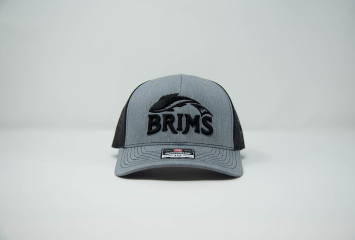 Brims Logo Trucker Hat