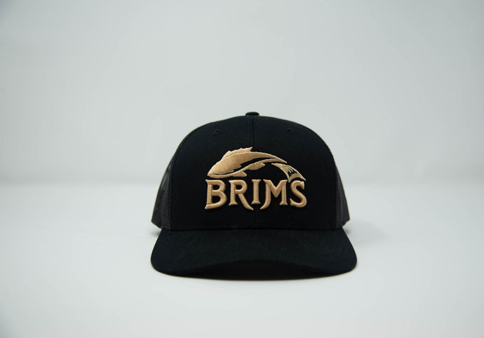 Brims Logo Trucker Hat