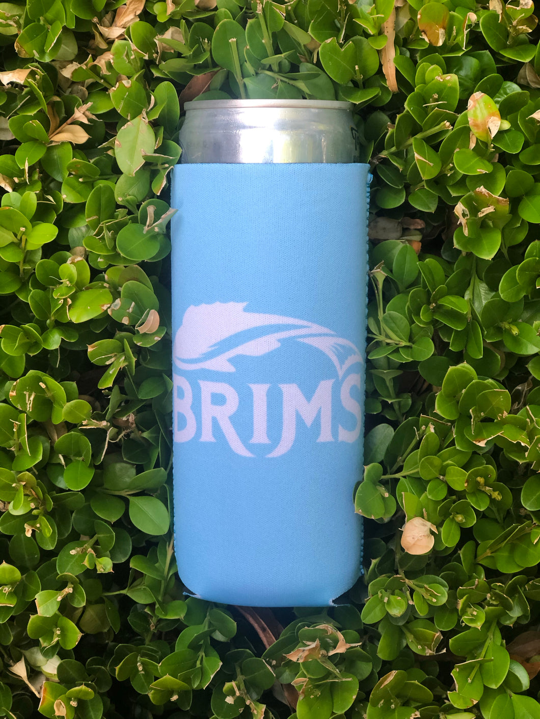 Sky Blue Slim Can Koozie